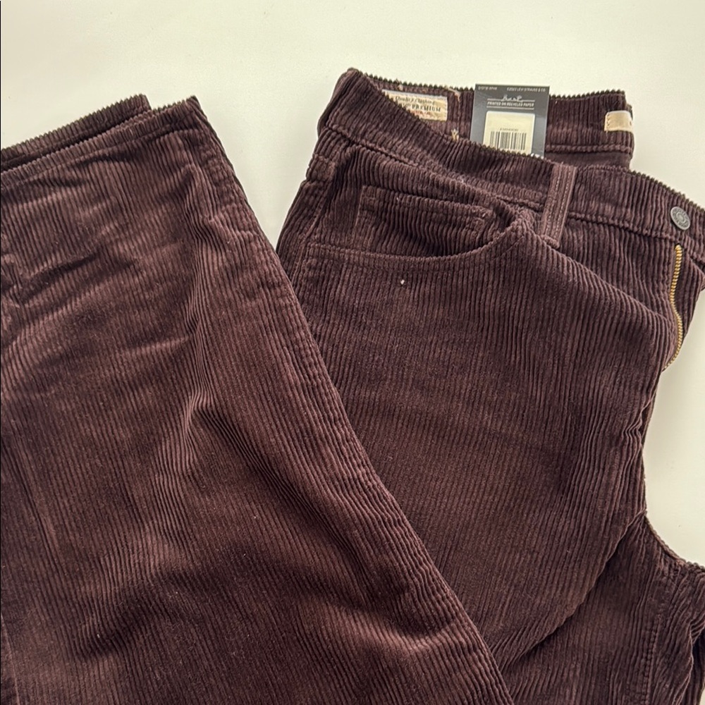 Levi’s Baggy Corduroy Pants